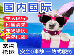 吕梁航空快递国际宠物托运 【国